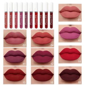 evpct 10Pcs Liquid Matte Lipstick Matte Set